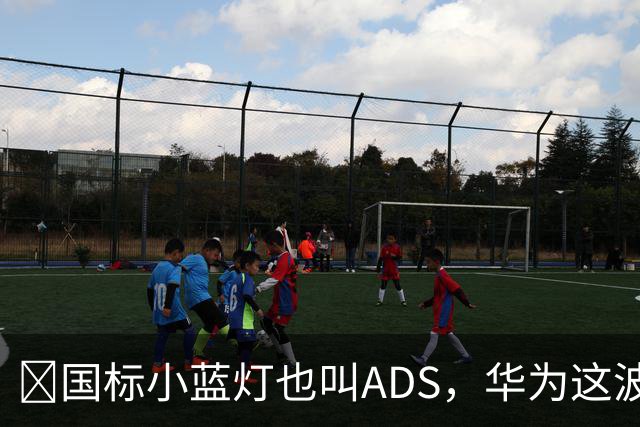 ​国标小蓝灯也叫ADS，华为这波白捡了个大便宜？