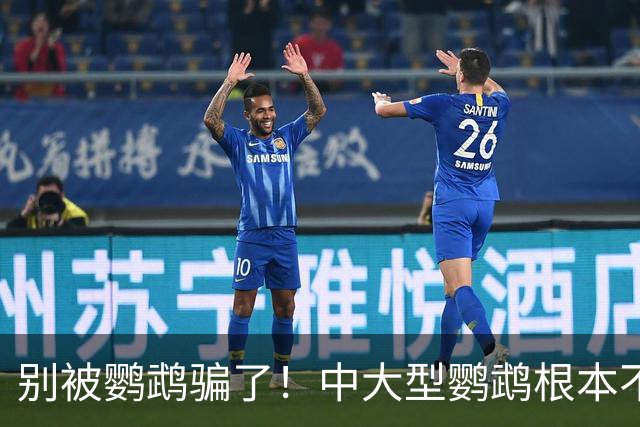 别被鹦鹉骗了！中大型鹦鹉根本不是宠物，是会飞的野生猛禽！