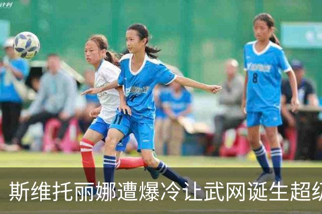 斯维托丽娜遭爆冷让武网诞生超级黑马，霍达尔领走上海逆转王头衔