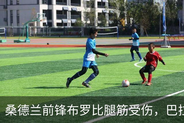 桑德兰前锋布罗比腿筋受伤，巴拉德同样无缘对阵布莱顿